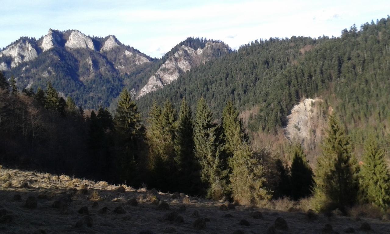 Ubytovanie Sokolica Červený Kláštor Bagian luar foto
