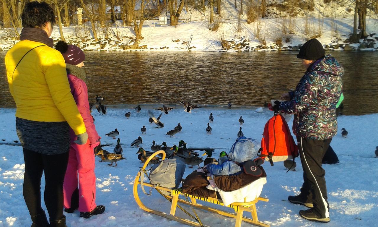 Ubytovanie Sokolica Červený Kláštor Bagian luar foto