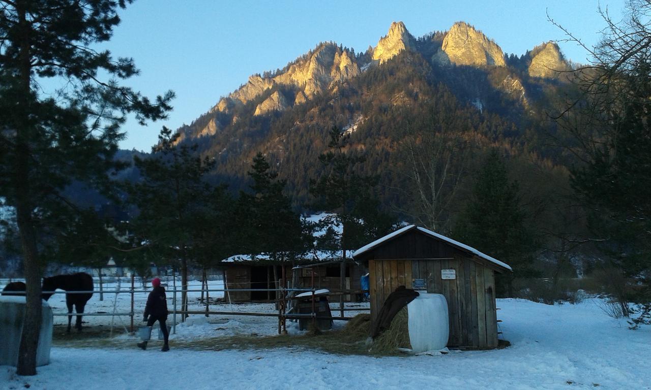 Ubytovanie Sokolica Červený Kláštor Bagian luar foto