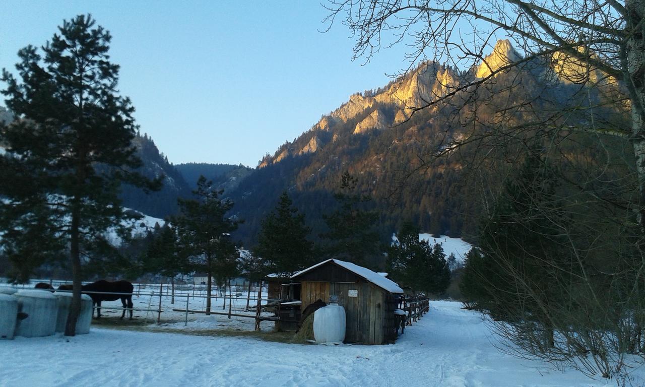 Ubytovanie Sokolica Červený Kláštor Bagian luar foto