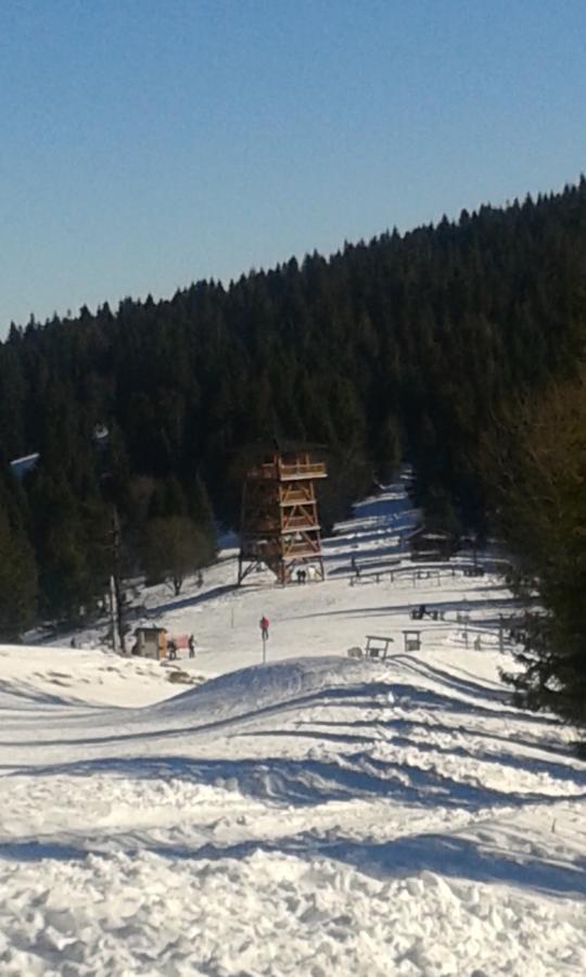 Ubytovanie Sokolica Červený Kláštor Bagian luar foto
