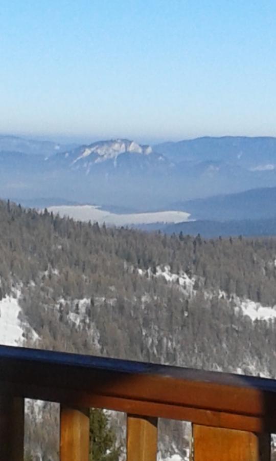 Ubytovanie Sokolica Červený Kláštor Bagian luar foto