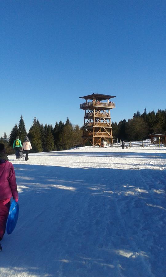 Ubytovanie Sokolica Červený Kláštor Bagian luar foto